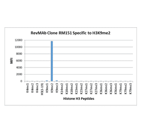 Multiplex Immunoassay - Anti-Histone H3 (di methyl Lys9) Antibody [RM151] (A121219) - Antibodies.com