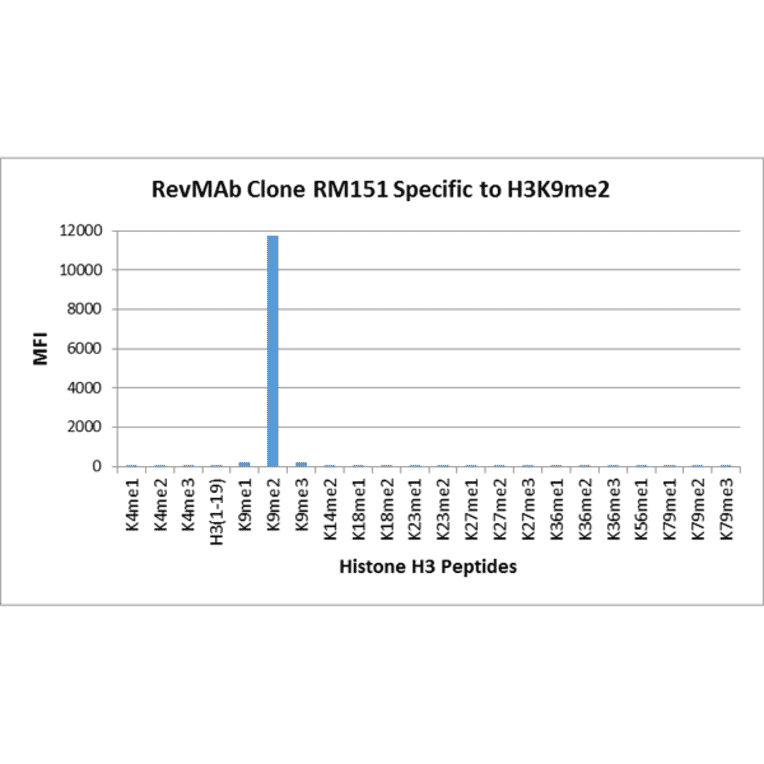 Multiplex Immunoassay - Anti-Histone H3 (di methyl Lys9) Antibody [RM151] (A121219) - Antibodies.com
