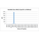 Multiplex Immunoassay - Anti-Histone H3 (di methyl Lys9) Antibody [RM151] (A121219) - Antibodies.com