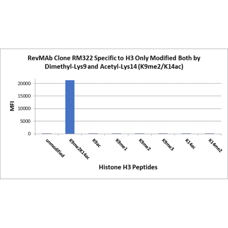 Multiplex Immunoassay - Anti-Histone H3 (di methyl Lys9) + Histone H3 (acetyl Lys14) Antibody [RM322] (A121440) - Antibodies.com