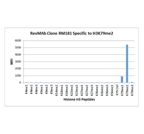 Multiplex Immunoassay - Anti-Histone H3 (di methyl Lys79) Antibody [RM181] (A121221) - Antibodies.com