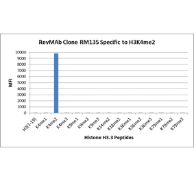 Multiplex Immunoassay - Anti-Histone H3 (di methyl Lys4) Antibody [RM135] (A121222) - Antibodies.com