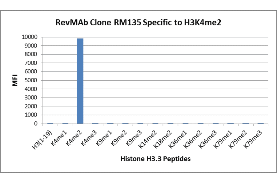 Multiplex Immunoassay - Anti-Histone H3 (di methyl Lys4) Antibody [RM135] (A121222) - Antibodies.com