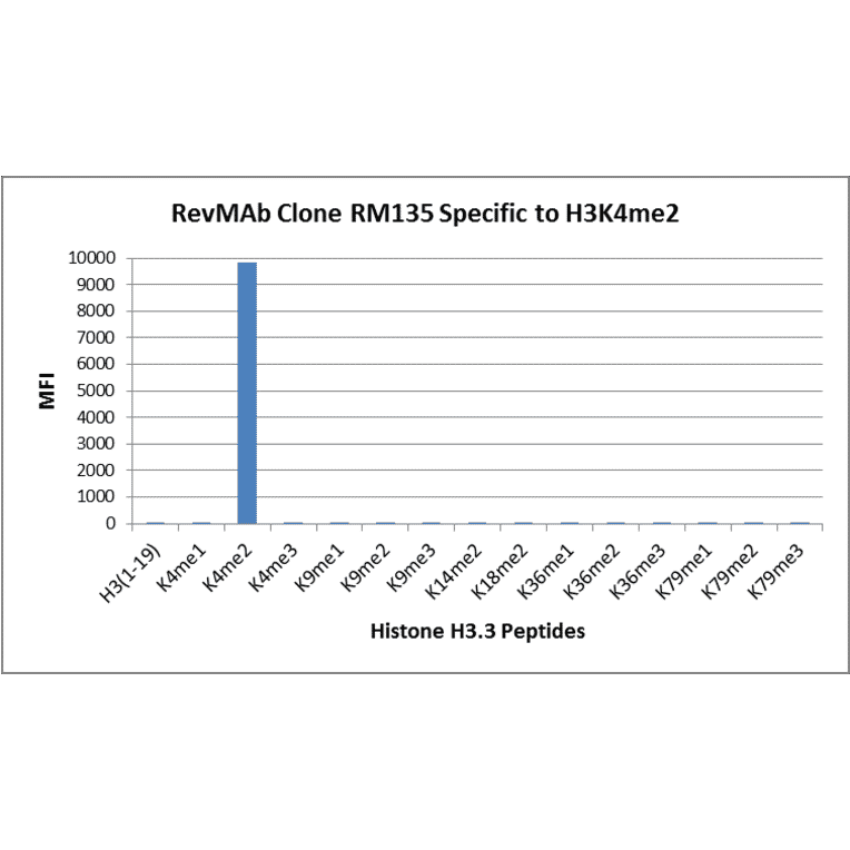 Multiplex Immunoassay - Anti-Histone H3 (di methyl Lys4) Antibody [RM135] (A121222) - Antibodies.com