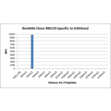Multiplex Immunoassay - Anti-Histone H3 (di methyl Lys4) Antibody [RM135] (A121222) - Antibodies.com