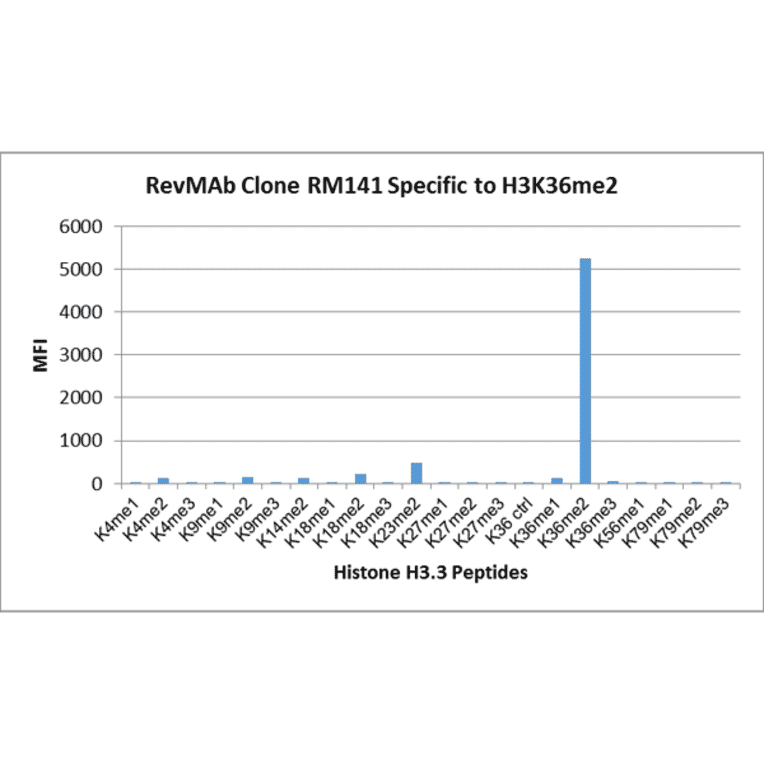 Multiplex Immunoassay - Anti-Histone H3 (di methyl Lys36) Antibody [RM141] (A121217) - Antibodies.com