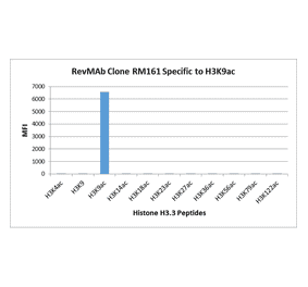 Multiplex Immunoassay - Anti-Histone H3 (acetyl Lys9) Antibody [RM161] (A121229) - Antibodies.com