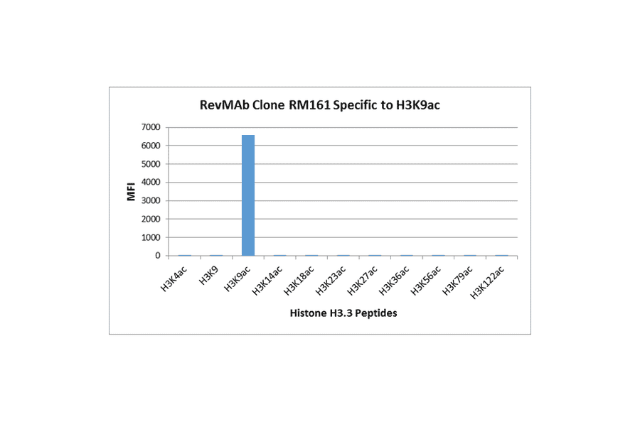 Multiplex Immunoassay - Anti-Histone H3 (acetyl Lys9) Antibody [RM161] (A121229) - Antibodies.com