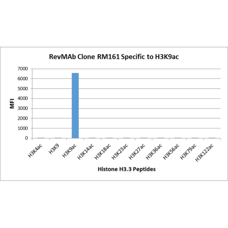 Multiplex Immunoassay - Anti-Histone H3 (acetyl Lys9) Antibody [RM161] (A121229) - Antibodies.com