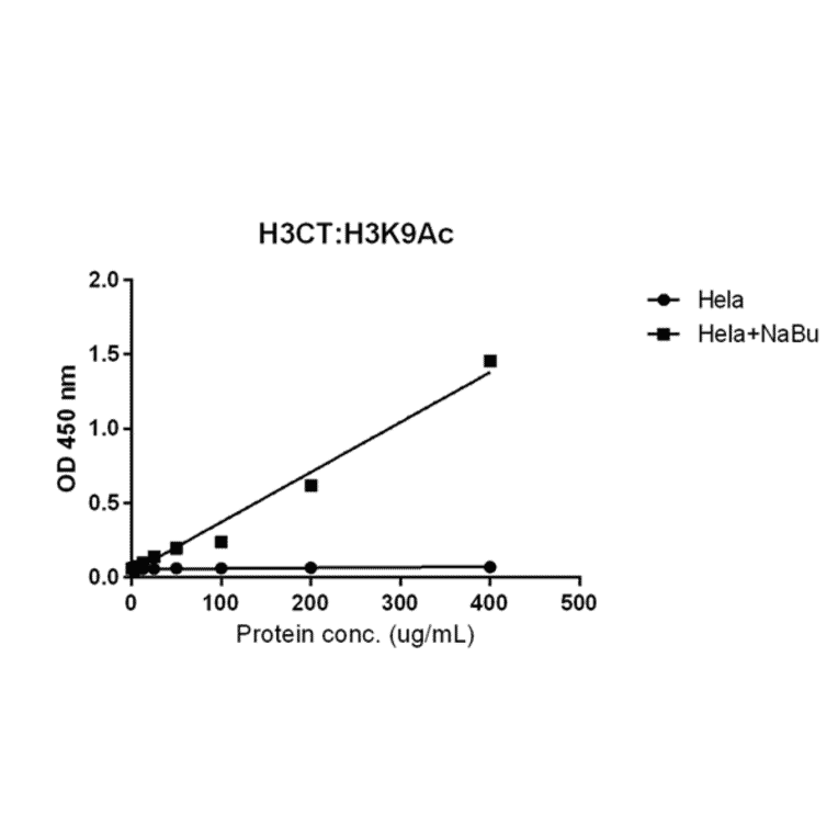 ELISA - Anti-Histone H3 (acetyl Lys9) Antibody [RM161] (A121229) - Antibodies.com