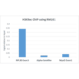 Chromatin Immunoprecipitation - Anti-Histone H3 (acetyl Lys9) Antibody [RM161] (A121205) - Antibodies.com