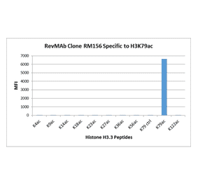 Multiplex Immunoassay - Anti-Histone H3 (acetyl Lys79) Antibody [RM156] (A121230) - Antibodies.com