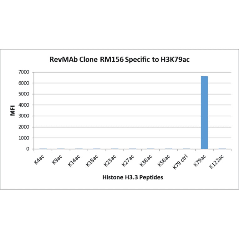 Multiplex Immunoassay - Anti-Histone H3 (acetyl Lys79) Antibody [RM156] (A121230) - Antibodies.com