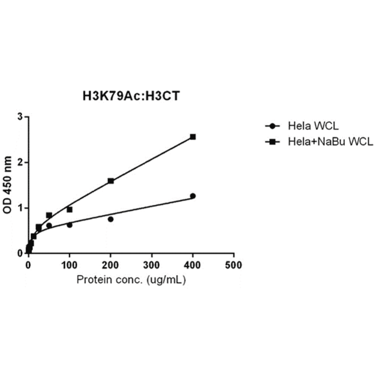 ELISA - Anti-Histone H3 (acetyl Lys79) Antibody [RM156] (A121230) - Antibodies.com