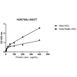 ELISA - Anti-Histone H3 (acetyl Lys79) Antibody [RM156] (A121230) - Antibodies.com