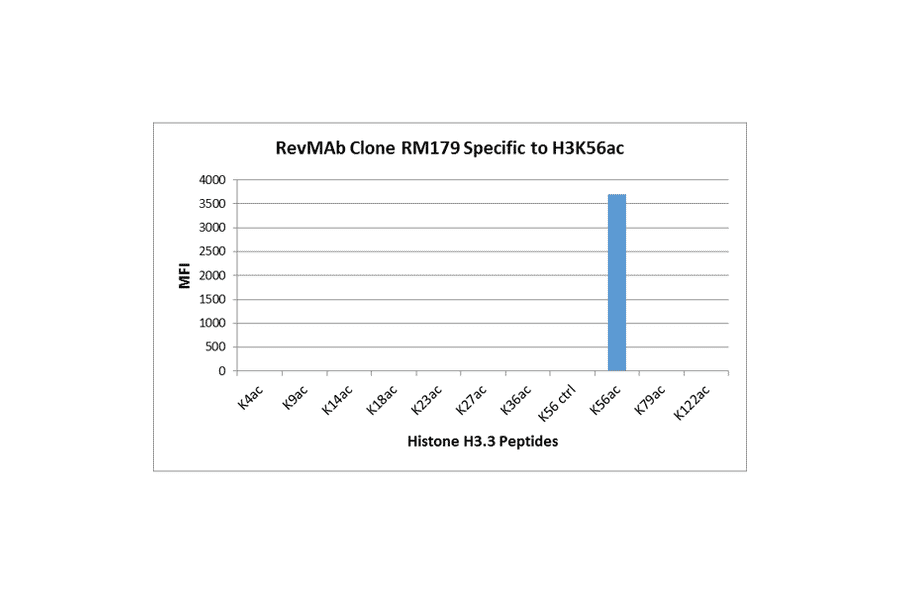 Multiplex Immunoassay - Anti-Histone H3 (acetyl Lys56) Antibody [RM179] (A121231) - Antibodies.com