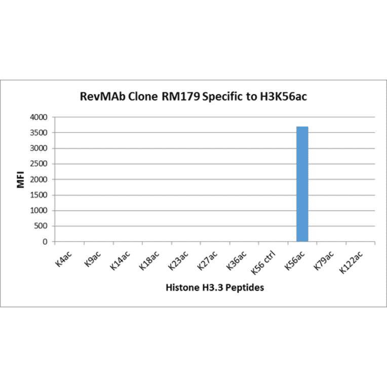 Multiplex Immunoassay - Anti-Histone H3 (acetyl Lys56) Antibody [RM179] (A121231) - Antibodies.com