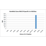 Multiplex Immunoassay - Anti-Histone H3 (acetyl Lys56) Antibody [RM179] (A121231) - Antibodies.com