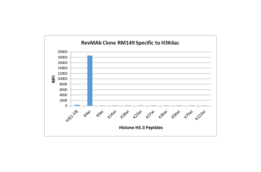 Multiplex Immunoassay - Anti-Histone H3 (acetyl Lys4) Antibody [RM149] (A121232) - Antibodies.com