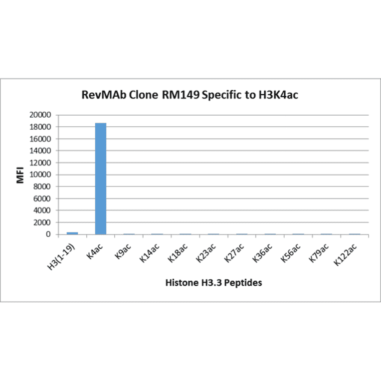 Multiplex Immunoassay - Anti-Histone H3 (acetyl Lys4) Antibody [RM149] (A121232) - Antibodies.com