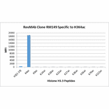 Multiplex Immunoassay - Anti-Histone H3 (acetyl Lys4) Antibody [RM149] (A121232) - Antibodies.com