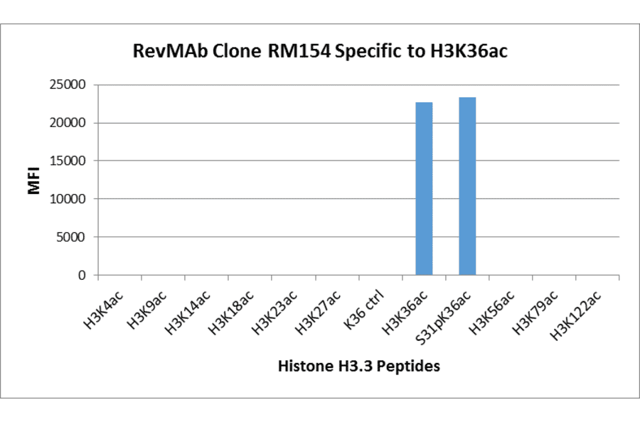 Multiplex Immunoassay - Anti-Histone H3 (acetyl Lys36) Antibody [RM154] (A121233) - Antibodies.com