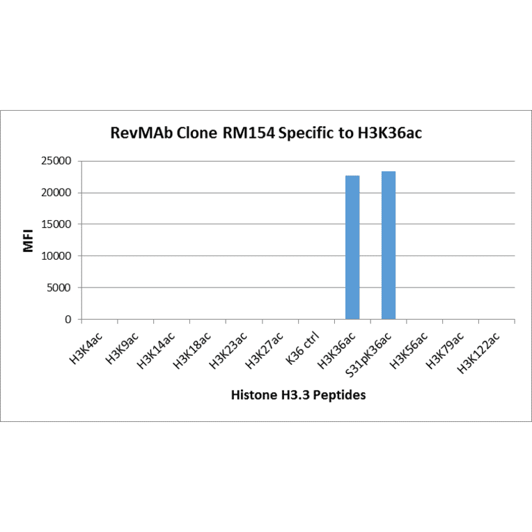 Multiplex Immunoassay - Anti-Histone H3 (acetyl Lys36) Antibody [RM154] (A121233) - Antibodies.com