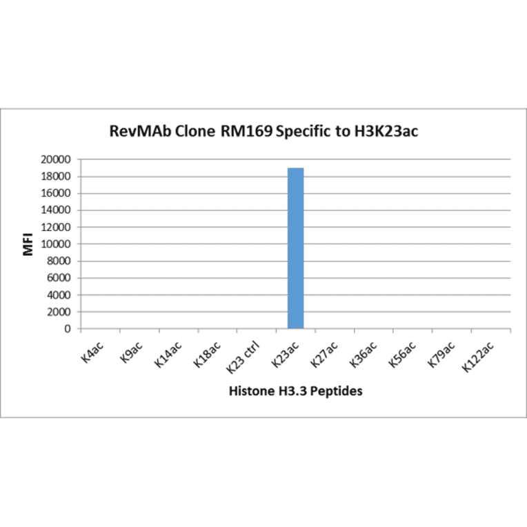 Multiplex Immunoassay - Anti-Histone H3 (acetyl Lys23) Antibody [RM169] (A121235) - Antibodies.com