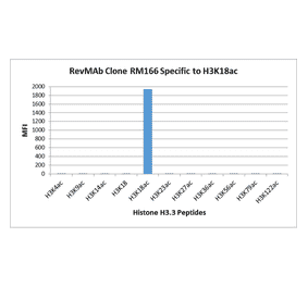 Multiplex Immunoassay - Anti-Histone H3 (acetyl Lys18) Antibody [RM166] (A121236) - Antibodies.com