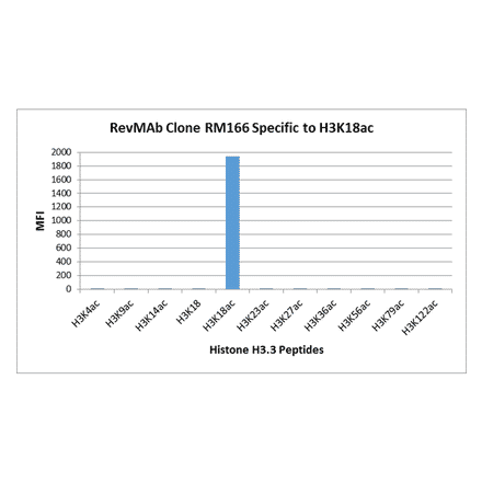 Multiplex Immunoassay - Anti-Histone H3 (acetyl Lys18) Antibody [RM166] (A121236) - Antibodies.com