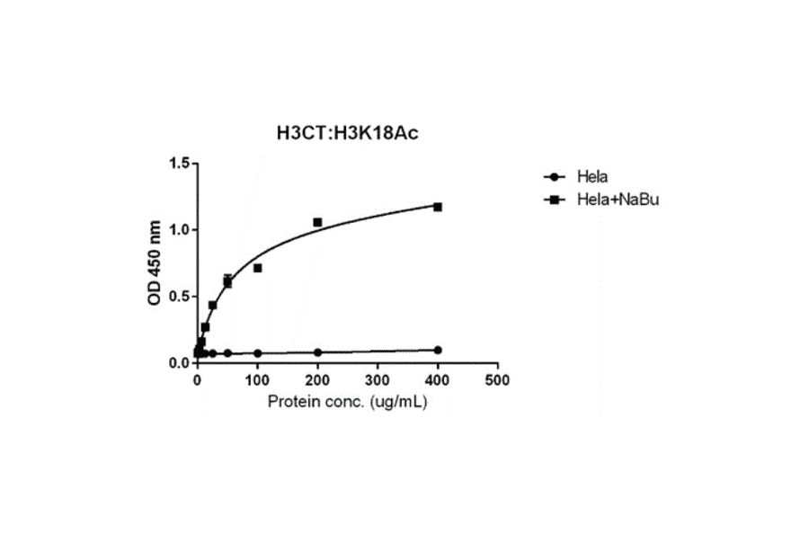 ELISA - Anti-Histone H3 (acetyl Lys18) Antibody [RM166] (A121236) - Antibodies.com
