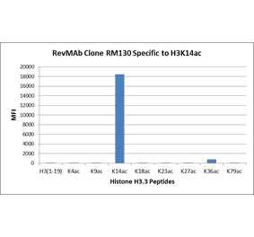 Multiplex Immunoassay - Anti-Histone H3 (acetyl Lys14) Antibody [RM130] (A121237) - Antibodies.com
