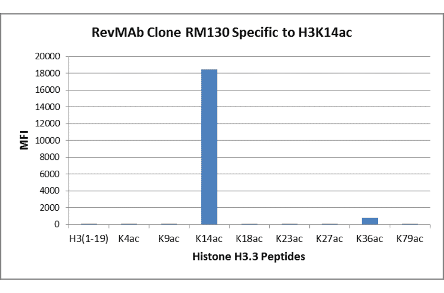 Multiplex Immunoassay - Anti-Histone H3 (acetyl Lys14) Antibody [RM130] (A121237) - Antibodies.com
