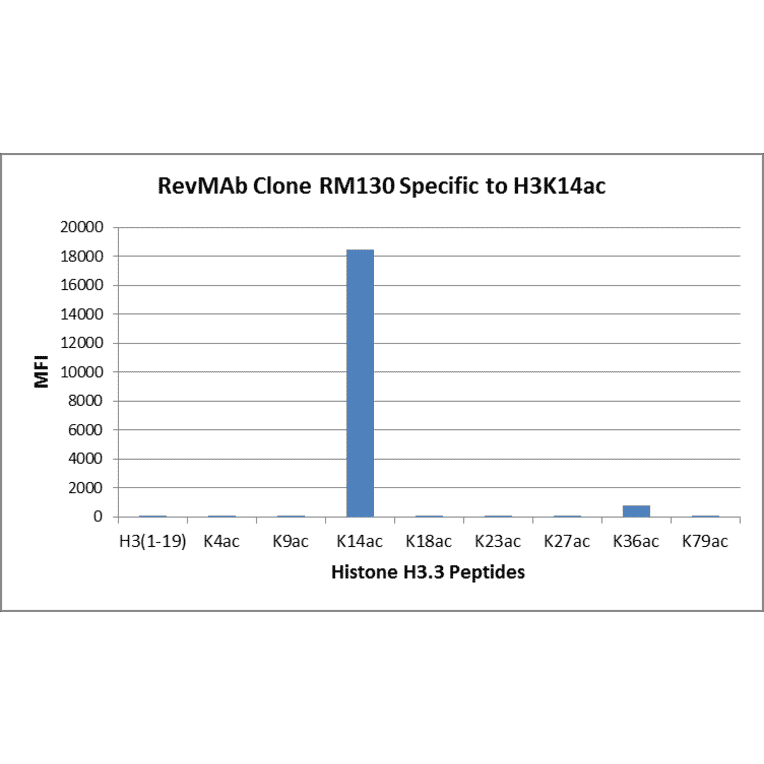 Multiplex Immunoassay - Anti-Histone H3 (acetyl Lys14) Antibody [RM130] (A121237) - Antibodies.com