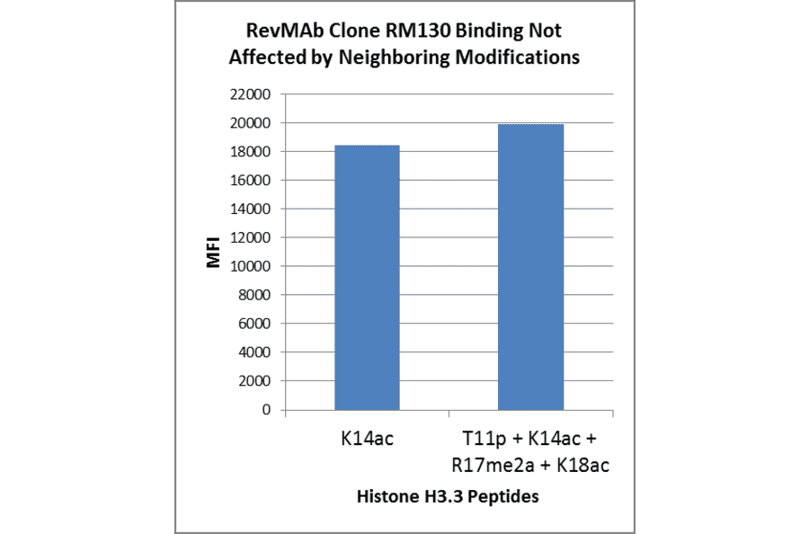 Multiplex Immunoassay - Anti-Histone H3 (acetyl Lys14) Antibody [RM130] (A121237) - Antibodies.com