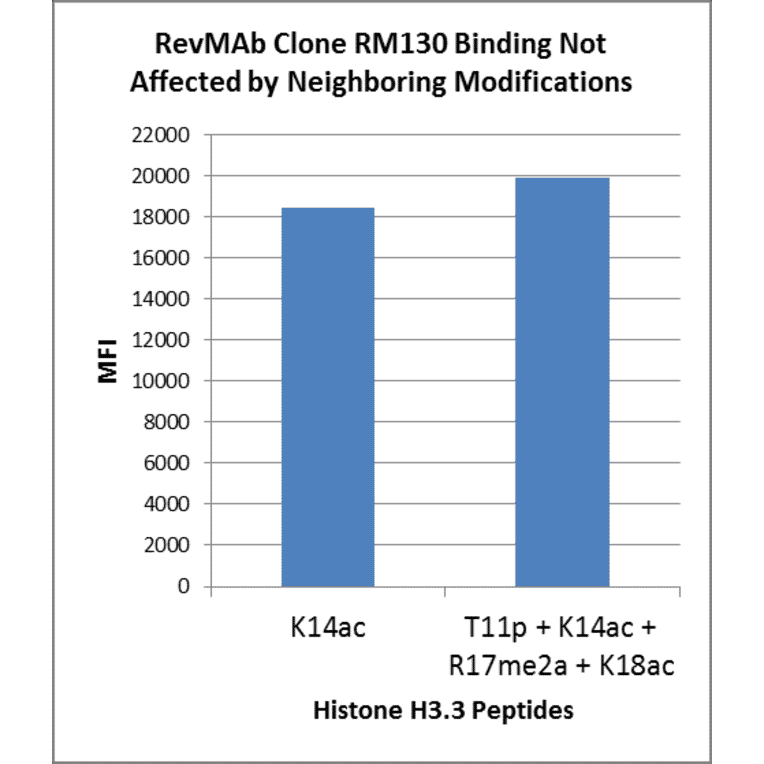 Multiplex Immunoassay - Anti-Histone H3 (acetyl Lys14) Antibody [RM130] (A121237) - Antibodies.com