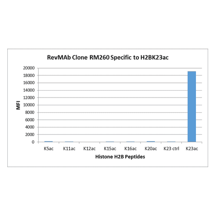 Multiplex Immunoassay - Anti-Histone H2B (acetyl Lys23) Antibody [RM260] (A121239) - Antibodies.com