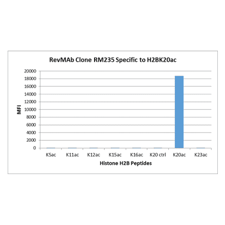 Multiplex Immunoassay - Anti-Histone H2B (acetyl Lys20) Antibody [RM235] (A121240) - Antibodies.com