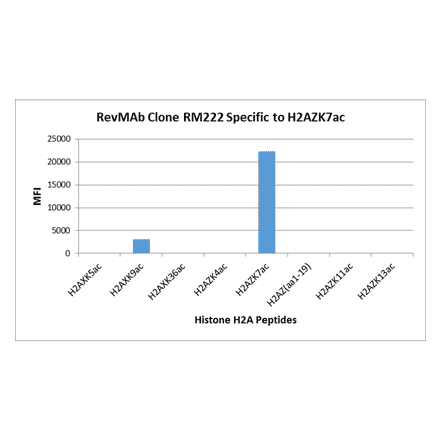 Multiplex Immunoassay - Anti-Histone H2A.Z (acetyl Lys7) Antibody [RM222] (A121241) - Antibodies.com