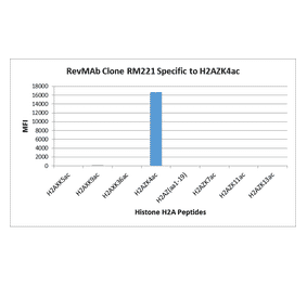 Multiplex Immunoassay - Anti-Histone H2A.Z (acetyl Lys4) Antibody [RM221] (A121242) - Antibodies.com