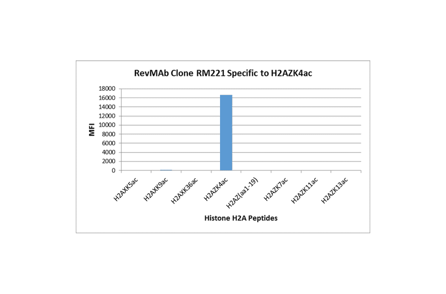 Multiplex Immunoassay - Anti-Histone H2A.Z (acetyl Lys4) Antibody [RM221] (A121242) - Antibodies.com