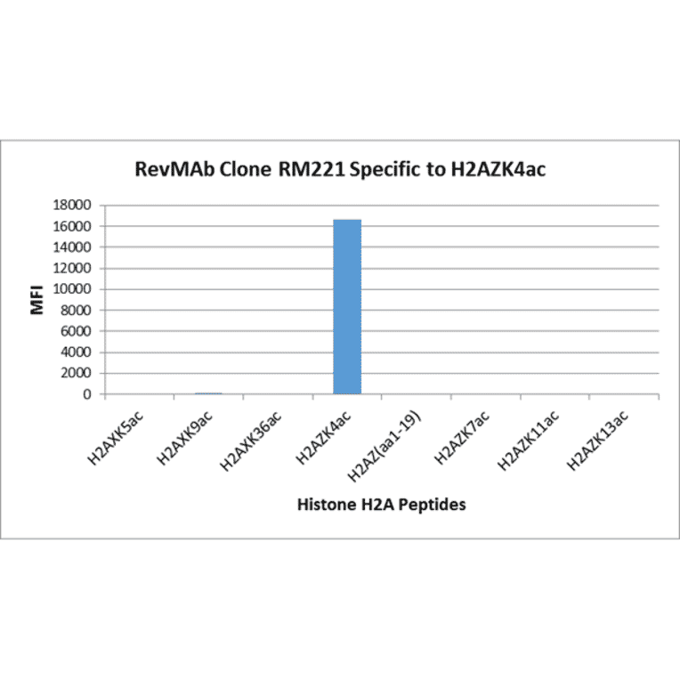 Multiplex Immunoassay - Anti-Histone H2A.Z (acetyl Lys4) Antibody [RM221] (A121242) - Antibodies.com