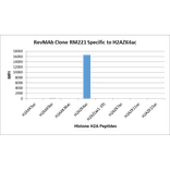 Multiplex Immunoassay - Anti-Histone H2A.Z (acetyl Lys4) Antibody [RM221] (A121242) - Antibodies.com