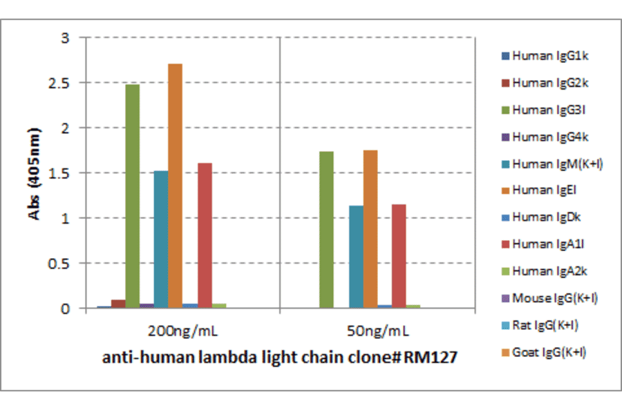 ELISA - Anti-Human Lambda Light Chain Antibody (Biotin) [RM127] (A121255) - Antibodies.com
