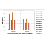 ELISA - Anti-Human Lambda Light Chain Antibody (Biotin) [RM127] (A121255) - Antibodies.com