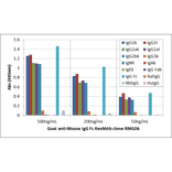 ELISA - Anti-Mouse IgG Fc Antibody (Biotin) [RMG06] (A121328) - Antibodies.com