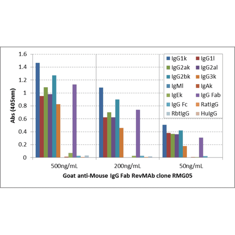 ELISA - Anti-Mouse IgG F(ab) Antibody (Biotin) [RMG05] (A121259) - Antibodies.com