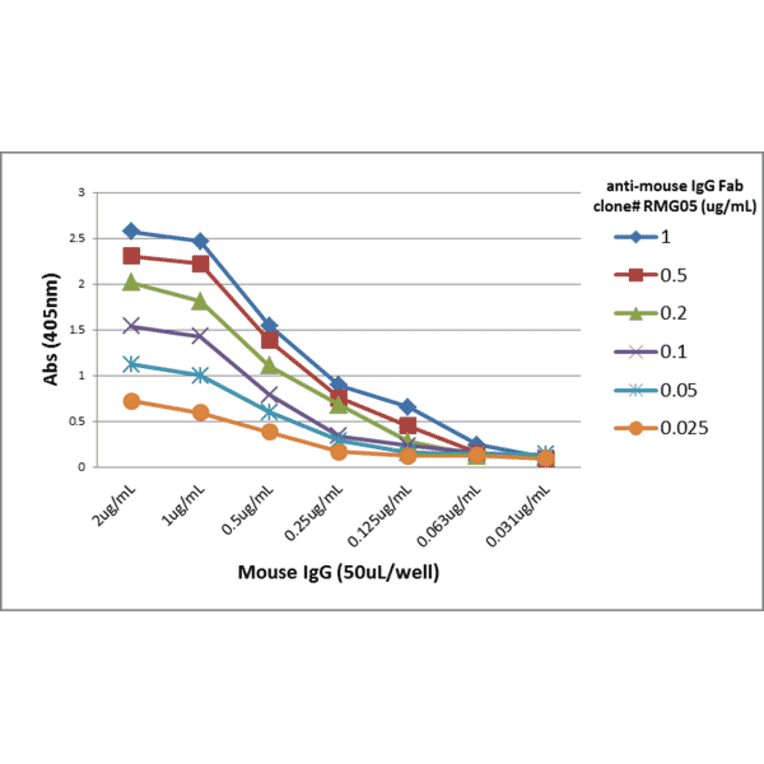 ELISA - Anti-Mouse IgG F(ab) Antibody (Biotin) [RMG05] (A121260) - Antibodies.com