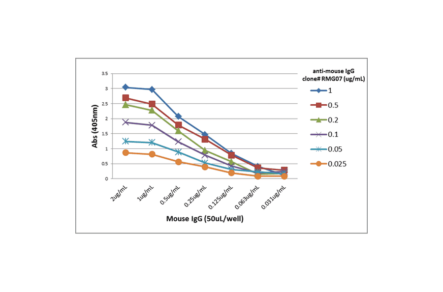 ELISA - Anti-Mouse IgG Antibody (Biotin) [RMG07] (A121261) - Antibodies.com
