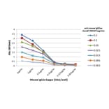 ELISA - Anti-Mouse IgG2a Kappa Antibody (Biotin) [RM107] (A121330) - Antibodies.com